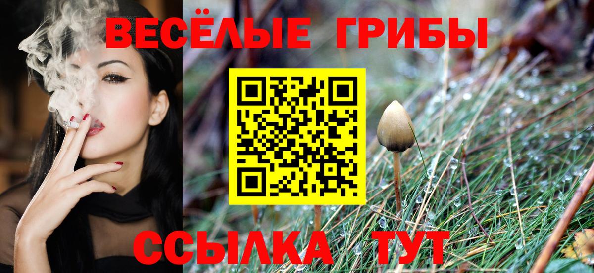 Галлюциногенные грибы Cubensis  Вход с VPN  Котельники 