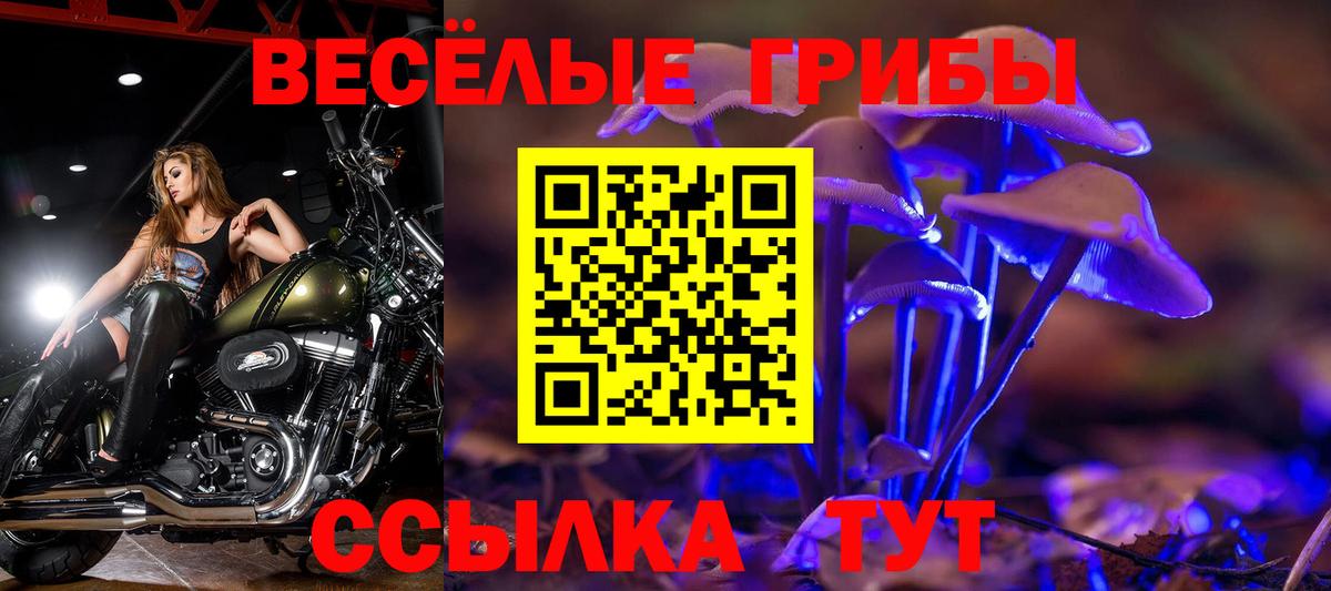 Галлюциногенные грибы Psilocybe Котельники